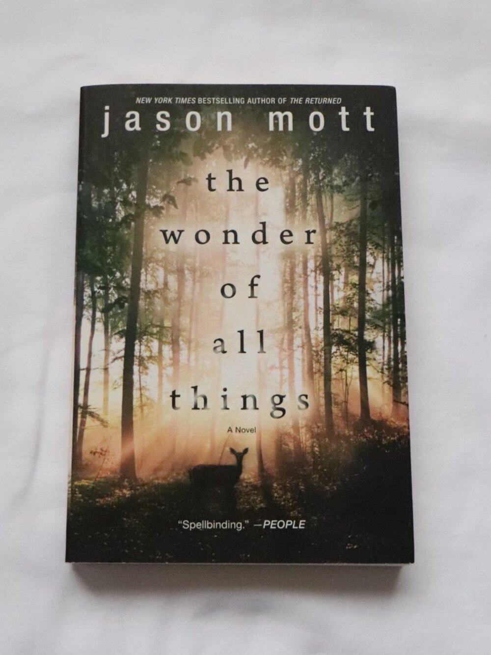 The Wonder of All Things by Jason Mott | Paranormal |‎ Magical Realism | Fiction